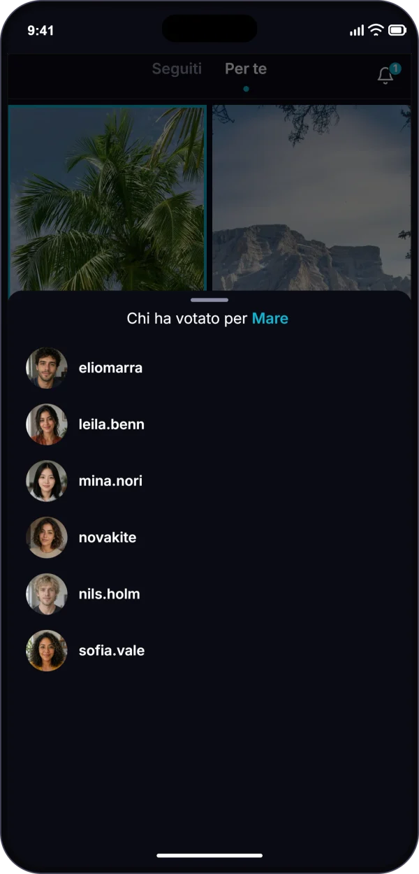 L’app PIC su un telefono